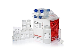 Набор PureLink Expi Endotoxin-Free Maxi Plasmid Purification Kit, Thermo FS