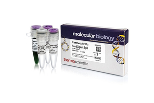 Эндонуклеаза рестрикции BplI Fast Digest для ускоренного гидролиза ДНК, Fermentas, Thermo FS
