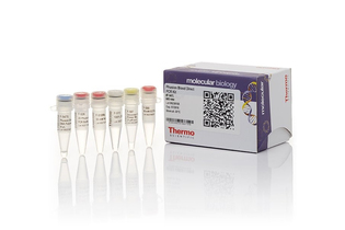 Набор для проведения прямой ПЦР Phusion Blood Direct PCR Kit из цельной крови без предварительного выделения ДНК, Thermo FS