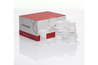 Набор PureLink Quick Gel Extraction and PCR Purification Combo Kit, Thermo FS