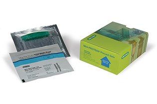 Гель полиакриламидный готовый Mini-Protean TGX Stain Free, 8,6 х 6,7 см, 12 лунок, 20 мкл, 4-20%, Bio-Rad