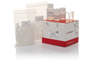Набор PureLink PCR Micro Kit, Thermo FS