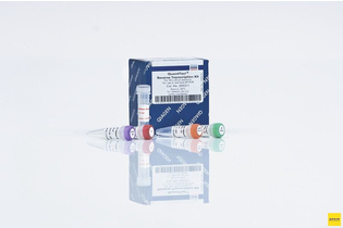 Набор QuantiTect Rev. Transcription Kit, Qiagen