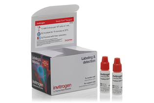 Набор Propidium Iodide Ready Flow Reagent, для проточной цитометрии, 2х2,5 мл, 120 тестов, Thermo FS