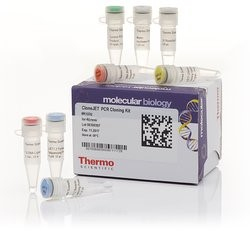 Набор для клонирования ПЦР-фрагментов CloneJet, Thermo FS