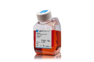 Среда DMEM, высокое содержание глюкозы, с L-глутамином, с пируватом, Thermo FS