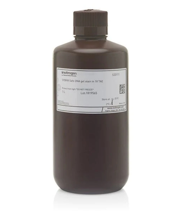 Краситель SYBR Safe, раствор в 1x буфере TAE, Thermo FS