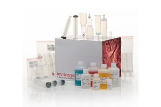 Набор PureLink Fast Low-Endotoxin Maxi Plasmid Purification Kit, Thermo FS