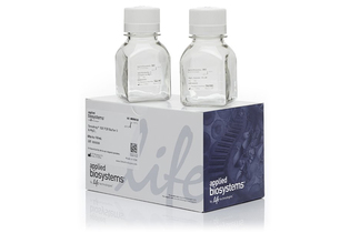 Буфер для ПЦР GeneAmp II, 10-кратный, Thermo FS