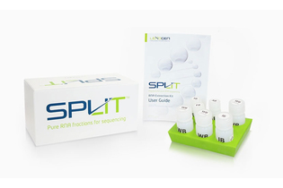 Набор для выделения РНК SPLIT RNA Extraction Kit, Lexogen