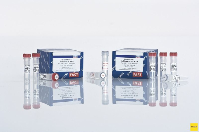 Набор для количественной ПЦР в режиме реального времени QuantiFast Multiplex PCR Kit, Qiagen