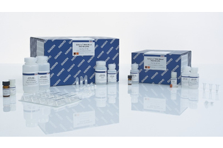 Набор для выделения ДНК из крови и биологических жидкостей QIAamp DNA Blood Mini Kit, Qiagen