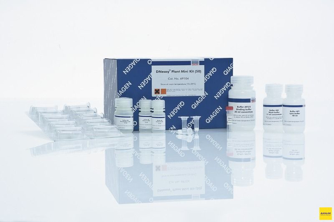 Набор для выделения геномной ДНК из растительных образцов DNEasy Plant Mini Kit, Qiagen