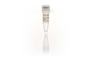 Ингибитор РНКаз Ribolock, 40 ед/мкл, Thermo FS (аналоги арт. 3784.2000, арт. 3784.10000, Диаэм)
