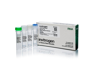 Набор DNA-free DNA Removal Kit, Thermo FS