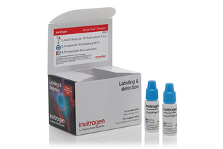 Набор FxCycle Violet Ready Flow Reagent, для проточной цитометрии, 2х2,5 мл, 120 тестов, Thermo FS