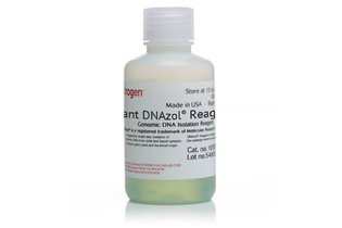Реагент Plant DNAzol для экстракции ДНК из растений, Thermo FS