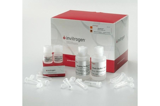 Набор PureLink miRNA Isolation Kit, Thermo FS