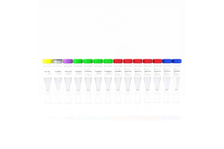 Набор для подготовки NGS библиотек VAHTS Universal DNA Library Prep Kit for Illumina V2, Vazyme, Китай