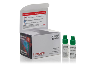 Набор SYTOX Green Ready Flow Reagent, для проточной цитометрии, 2х2,5 мл, 120 тестов, Thermo FS