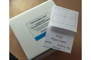 Карта FTA PlantSaver Card, растительный гомогенизат, хранение до 2х лет, до 25 мкл, 4 места, Whatman (GE)