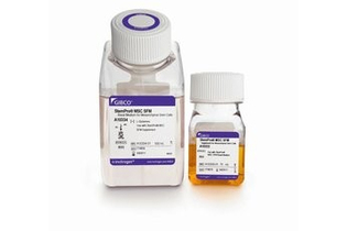 Среда StemPro-MSC бессывороточная для мезенхимальных стволовых клеток, Thermo FS
