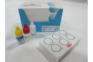 Набор латексной агглютинации для идентификации Salmonella, 100 шт/уп, Thermo FS (Oxoid), Thermo FS