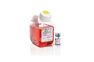 Среда Essential 8 Flex Kit, для бесфидерного культивирования стволовых клеток, Thermo FS