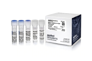 Набор реагентов для секвенирования BigDye Terminator v3.1, Thermo FS