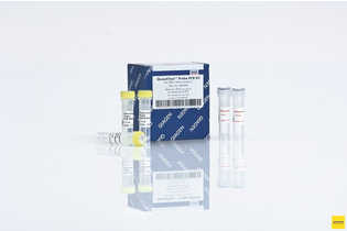 QuantiTect Probe PCR Kit, Qiagen