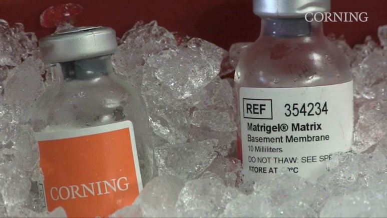 Матрикс экстрацеллюлярный Matrigel, с феноловым красным, Corning