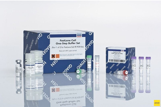 Набор FastLane Cell SYBR Green Kit 200, Qiagen