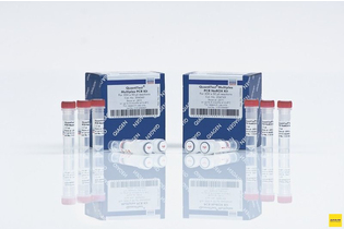 Набор для количественной ПЦР в режиме реального времени QuantiTect Multiplex PCR NoROX Kit, Qiagen