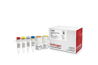 Набор для прямого анализа экспрессии генов SYBR Green Fast Advanced Cells-to-CT Kit из культивируемых клеток без предварительного выделения РНК, Thermo FS