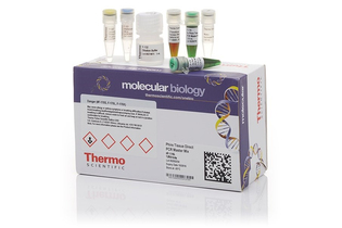 Набор для проведения прямой ПЦР Phire Tissue Direct PCR Master Mix из широкого спектра тканей без предварительного выделения ДНК, Thermo FS