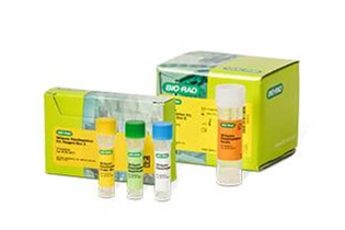 Набор для деплеции рибосомальной РНК SEQuoia RiboDepletion Kit, 24 реакции, Bio-Rad