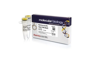 Эндонуклеаза рестрикции Eam1104I (EarI), 10 е.а./мкл, Fermentas, Thermo FS
