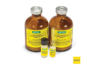 Набор ReadyPrep для экстракции общего белка, Bio-Rad
