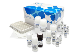 Набор Human Neuropeptide Y (NPY) ELISA, Merck (Millipore, Sigma-Aldrich, Supelco)