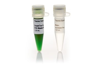 Мастер-микс для ПЦР с ДНК-полимеразой DreamTaq Green, Thermo FS