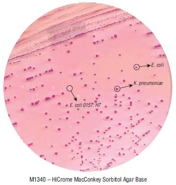 Основа агара МакКонки с сорбитом HiCrome для энтеротоксигенных E.coli 100 г (ФСЗ 2009/03705)