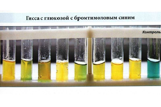 Среды Гисса с бромтимоловым синим 0,25 кг
