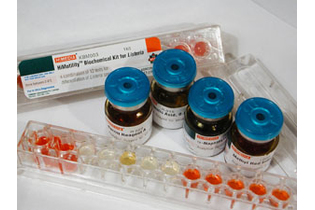 Набор для биохимической идентификации Salmonella spp., 10 наборов (ФСЗ 2008/01440)