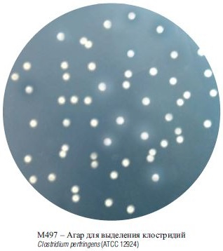 Агар для выделения клостридий 500 г (ФСЗ 2009/03709)