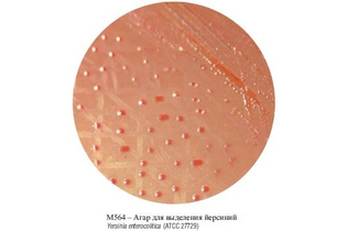Агар для выделения иерсиний, 500 г (ФСЗ 2009/03709)