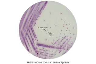 Агар селективный HiCrome для выделения и дифференциации E.coli O157:H7 100 г (ФСЗ 2009/03705)