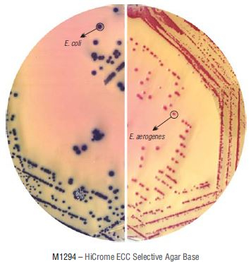 Основа агара ECC HiCrome для обнаружения и подсчета E.coli и колиформ. бакт. 500 г (ФСЗ 2009/03705)