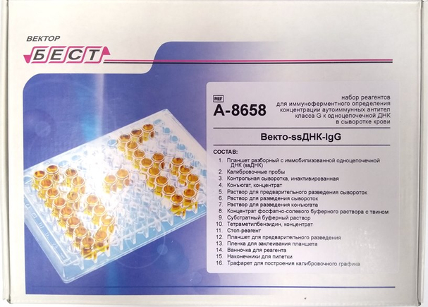 Векто-ssДНК-IgG, 12х8