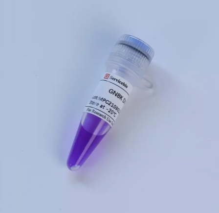 Маркер молекулярного веса GN8K DNA Marker, 0,1-8 кбаз, Servicebio, Китай