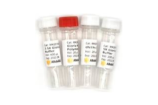 Набор для высокоточной ПЦР Gloria Nova HS PCR, ABclonal
